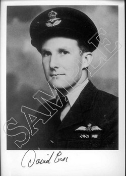 SP(SF)15 Wing Commander David Cox DFC*